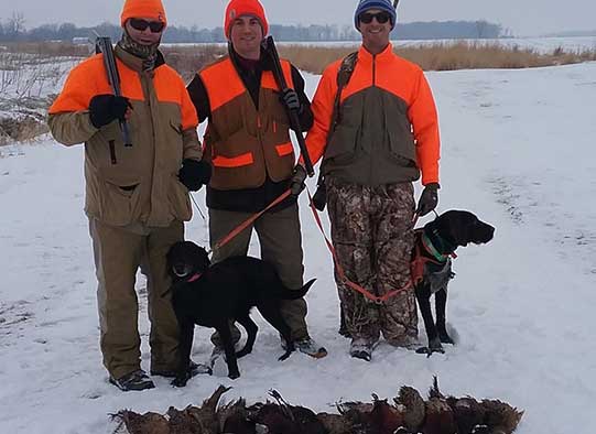Three hunters dressed in safety orange hunting gear and two hunting dogs.